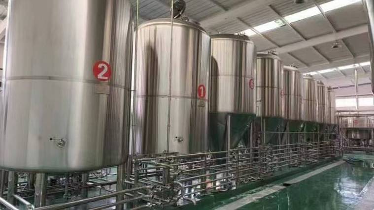 廉江日产10吨精酿啤酒设备多少钱?2026年全套报价帮你算明白